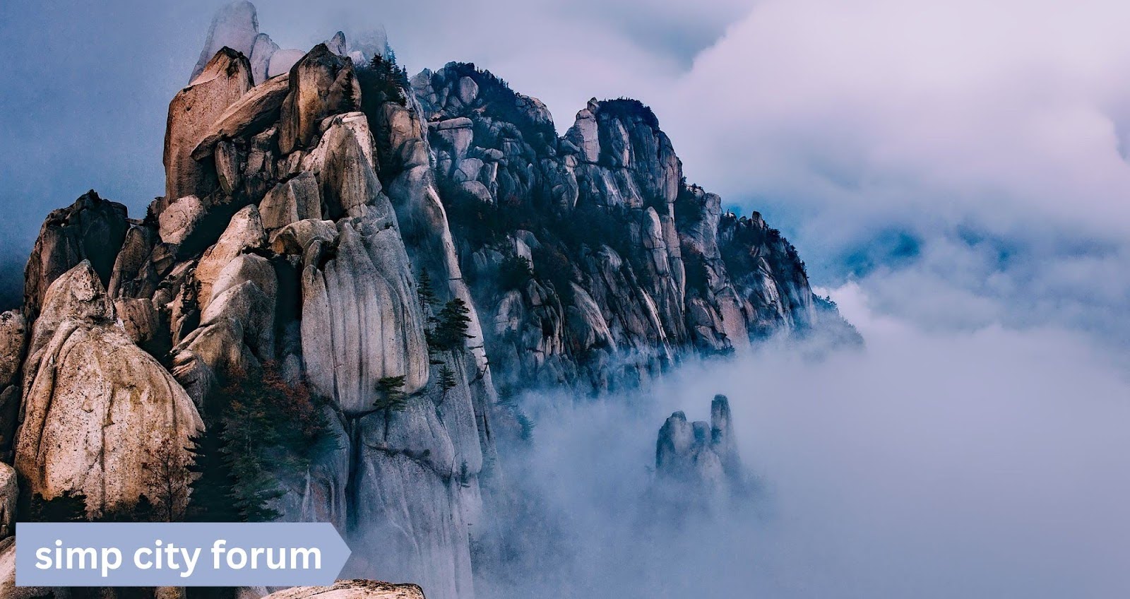 Simp City Forum