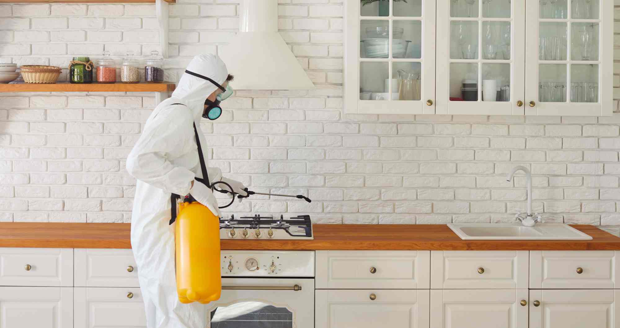 Ant Control Services