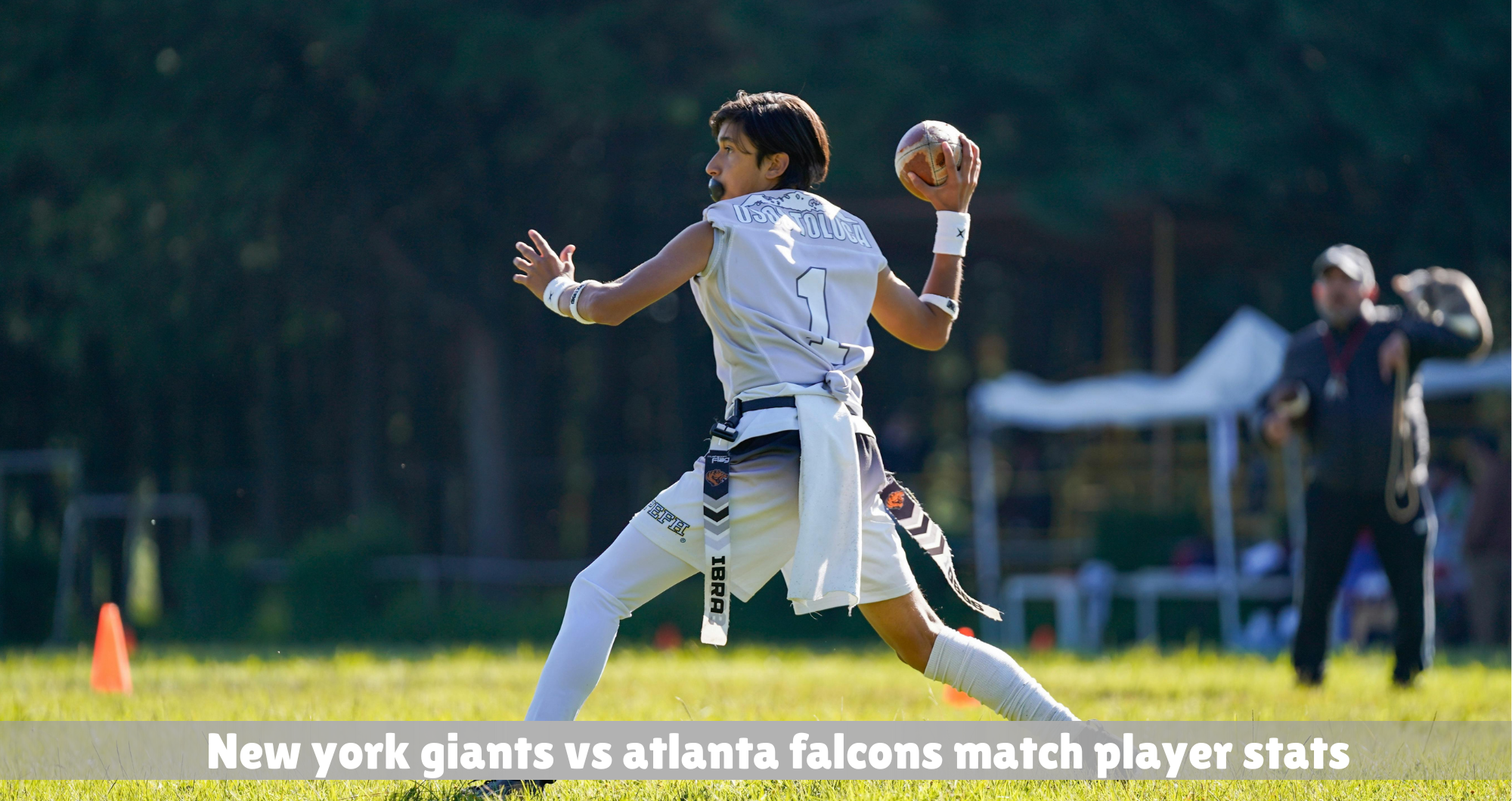 new york giants vs atlanta falcons match player stats