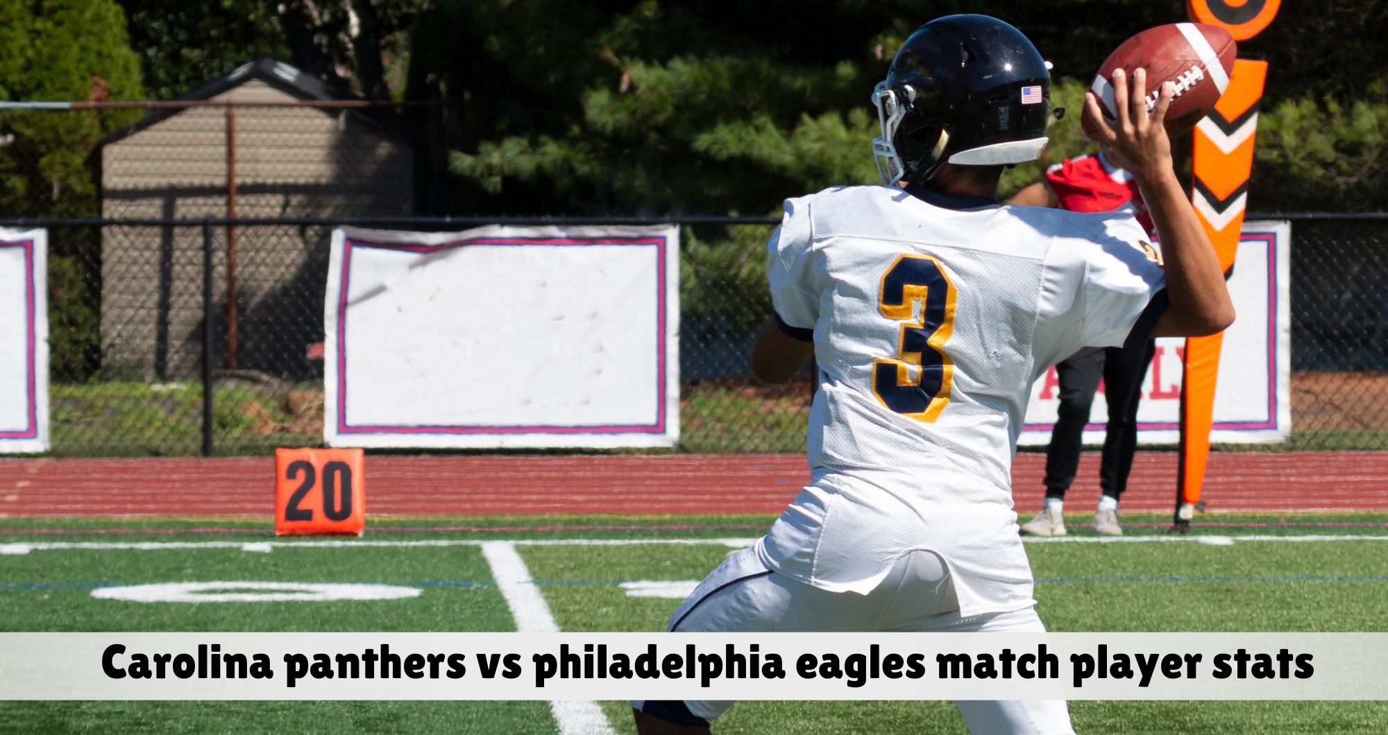 carolina panthers vs philadelphia eagles match player stats